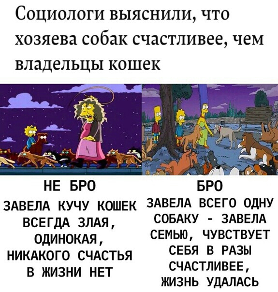 Социологи выяснили что хозяева собак счастливее чем владельцы кошек НЕ БРО БРО здввлд кучу кошек ЗАВЕЛА всвго одну ВСЕГДА злдя СОБАКУ здввлд одинокдя семью чувствувт НИКАКОГО СЧАСТЬЯ СЕБЯ В РАЗЫ в жизни нет СЧАСТЛИВЕЬ ЖИЗНЬ УДАЛАСЬ