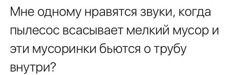 Мне одному нравятся звуки когда пылесос всасывает мелкий мусор и эти мусоринки бьются о трубу внутри