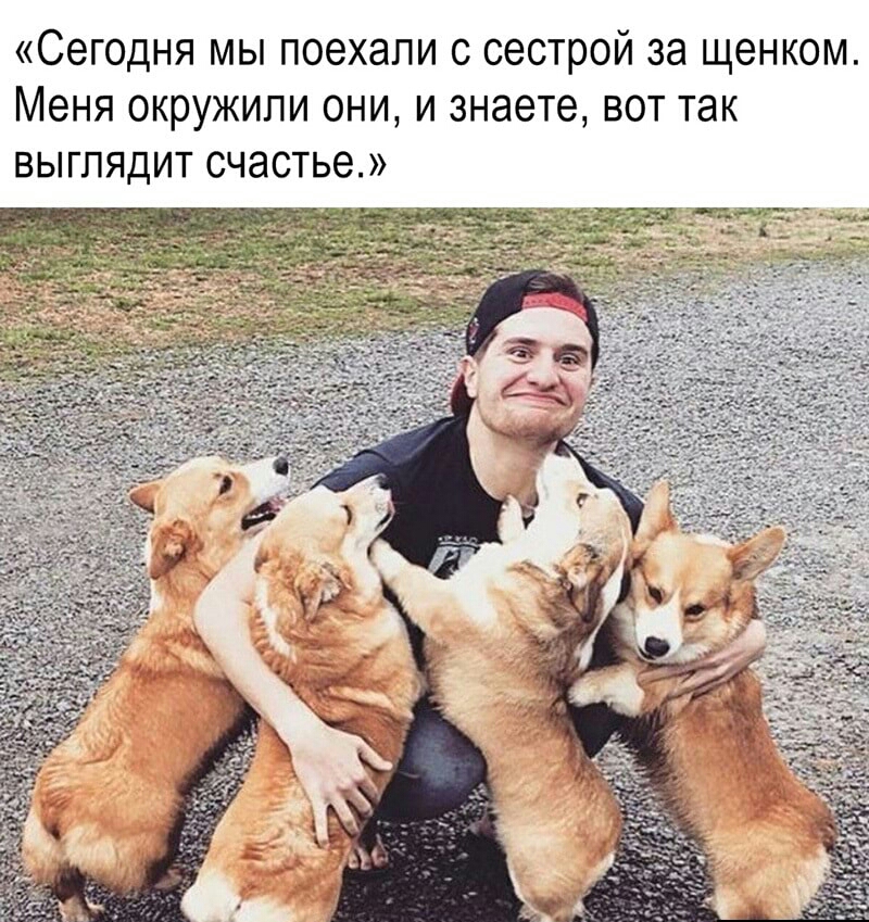 Сегодня мы поехали с сестрой за щенком Меня окружили они и знаете вот так выглядит счастье