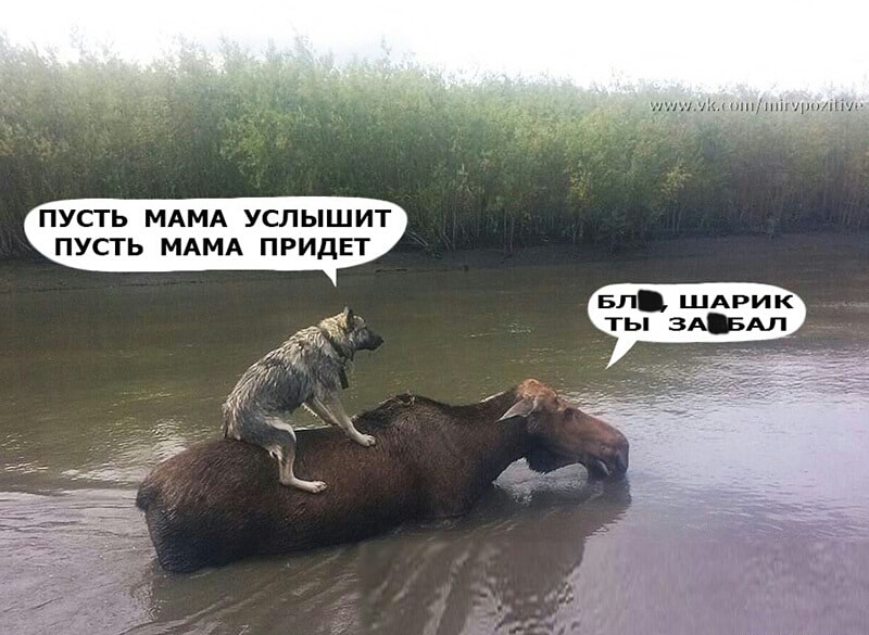 минными ид