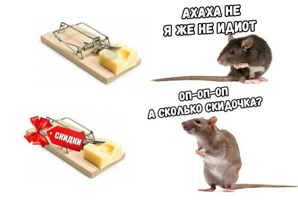 Ахты ШЗ ШЕШЗШЗ