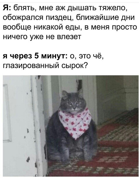 Я блять мне аж дышать тяжело обожрапся пиздец ближайшие дни вообще никакой еды в меня просто ничего уже не впезет я через 5 минут 0 это чё гпазированный сырок