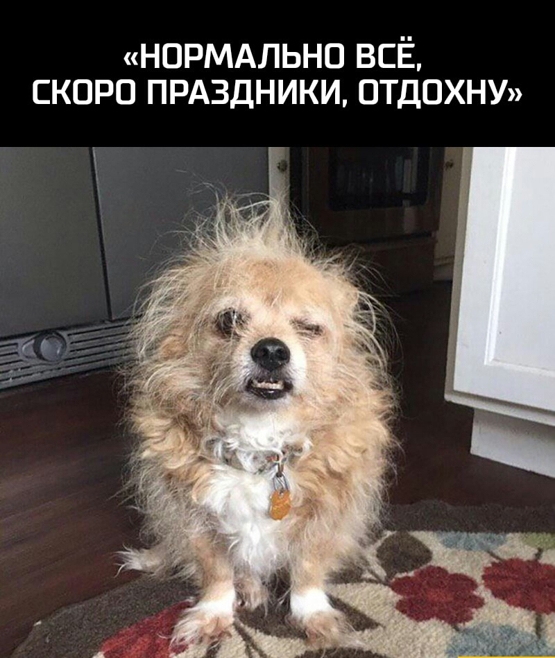 нормдльно ВСЁ скоро прдздники ОТДОХНУ