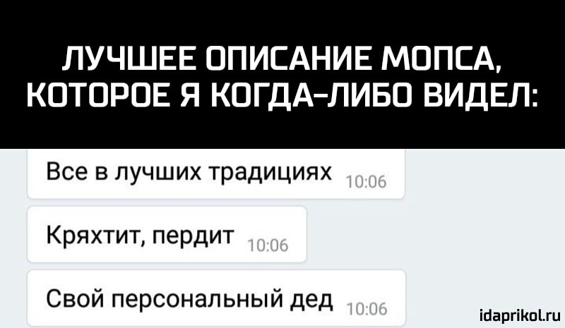 ЛУЧШЕЕ ОПИСАНИЕ МОПСА КОТОРОЕ Я КОГДАЛИБО ВИДЕЛ Все в лучших традициях Кряхтит пердит Свой персональный дед ісіаргіішіш