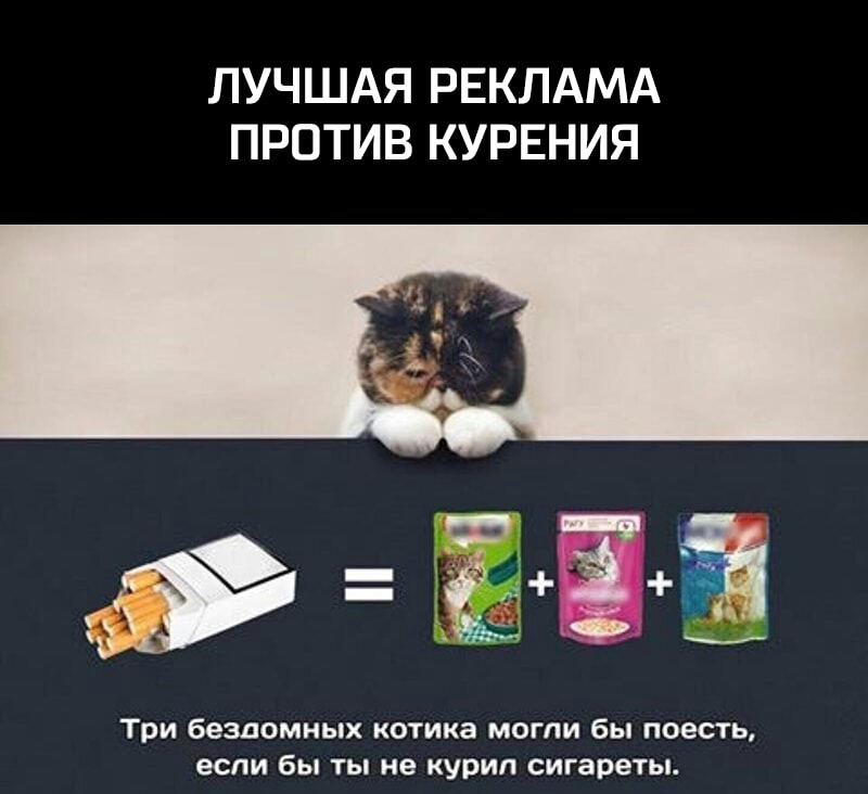 ЛУЧШАЯ РЕКЛАМА ПРОТИВ КУРЕНИЯ Три бездомных котика могли бы поесть если бы ты не курил сигареты