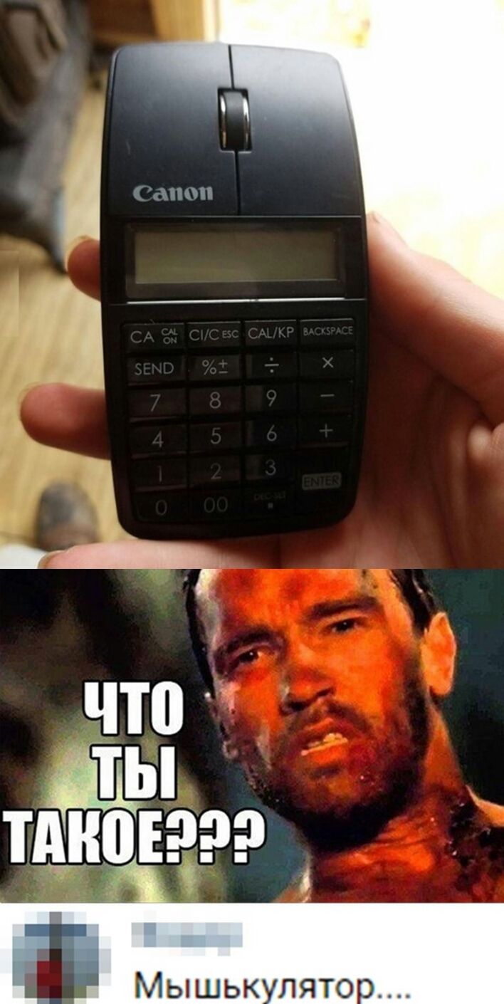 что щипцов Мышьк лято