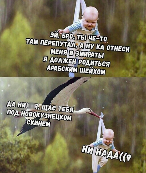 БРО Пи Милу гм М Родиться НБСКБМ шейхом дц М тднгі шутка скинам