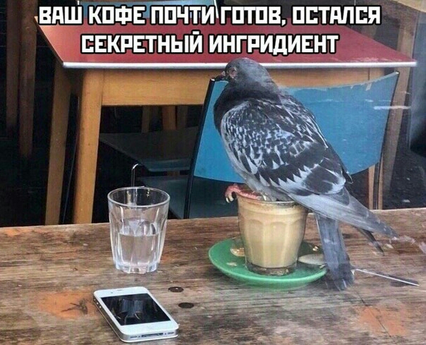 ВЦШТКПФЁППітИЁГПТПВ ПЕТППЕЯ ЕЕЕКЕТНЫЙ ИНГРИДИЕНТ