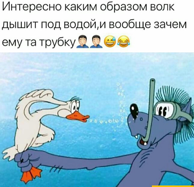 Интересно каким образом волк дышит под водойи вообще зачем ему та трубкуіяее