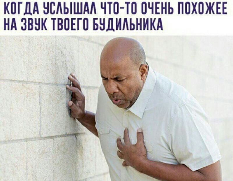 КПГДА НСАЫШАА ЧТО ТП ПЧЕНЬ ППХПЖЕЕ НА ЗВНК ТВПЕГП БНДИАЬНИКА