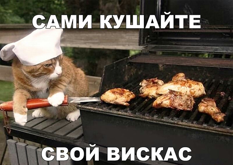 сдми _кушАйтв ___ евой висКАс