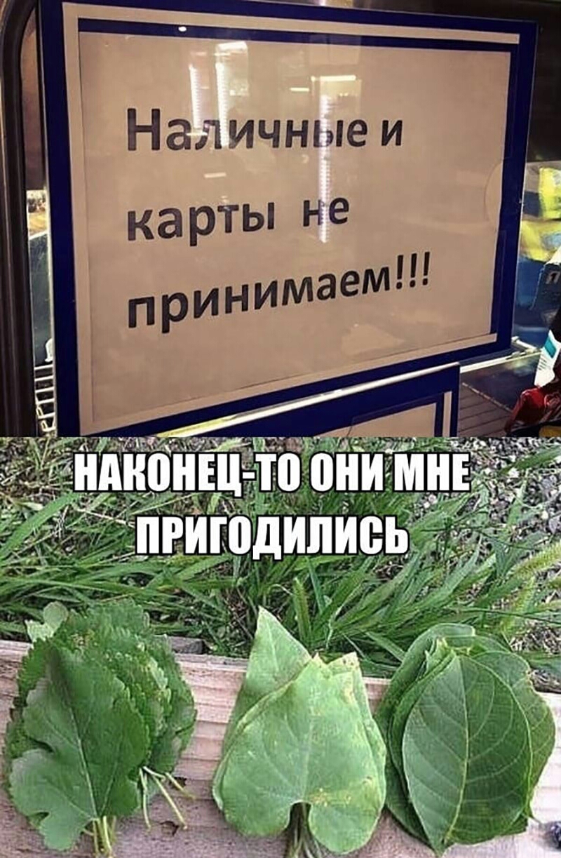 Наличные и ка рты Не
