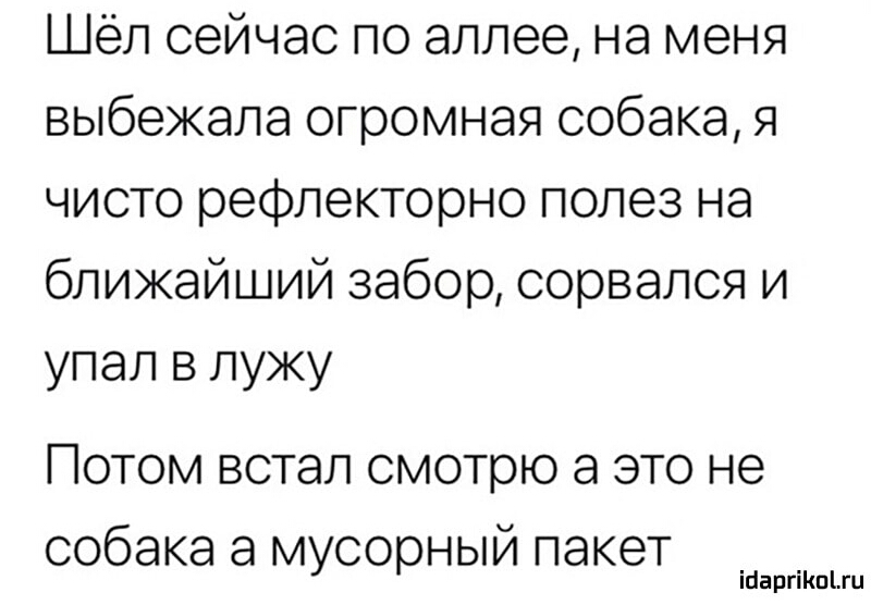 Шёл сейчас по аллее на меня выбежала огромная собака я чисто рефлекторно полез на ближайший забор сорвался и упал в лужу ПОТОМ ВСТЭЛ смотрю Э ЭТО не собака Э МУСООНЫЙ ПЭКЭТ ігіаргіКпіги