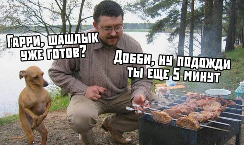 5 Шумин