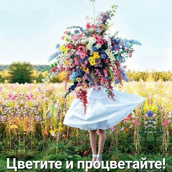 1ЦведгИТё и п Цветайте
