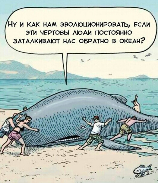 НУ И КАК НАМ ЭБОАЮЦИОНИРОБАЪ ЕСАИ ЭТИ ЧЕРТОВЫ АЮАИ ПОСТОЯННО ЗАТААКИБАЮТ НАС ОБРАТНО В ОКЕАН