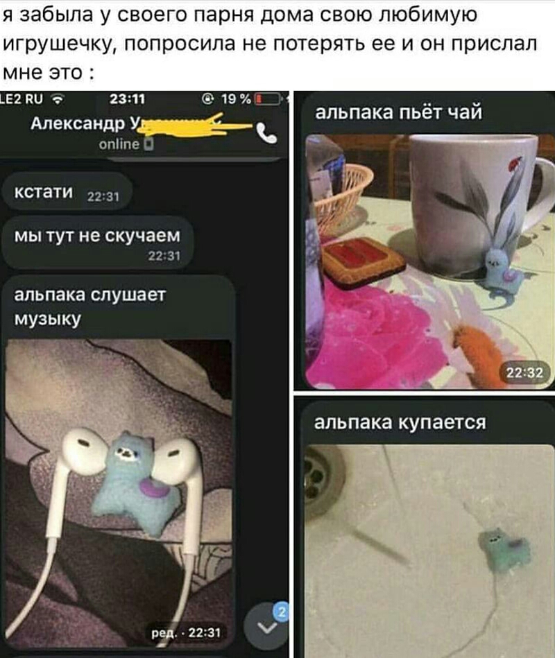 я забыла у своего парня дома свою любимую игрушечку попросила не потерять ее и он прислал мне это мы ни зт 19 Александр У оппе альпака пьёт чай кстати 31 МЫ ТУТ не скучаем 22 3 альпака слушает музыку