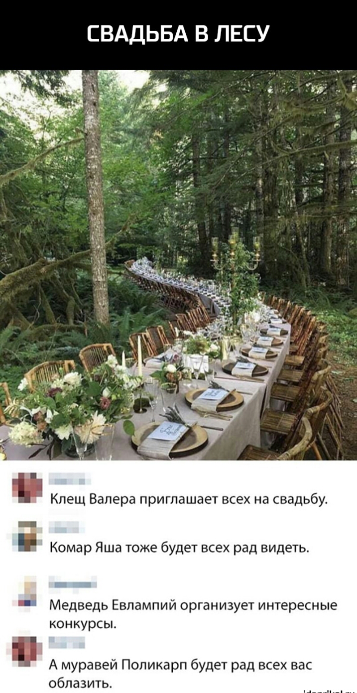СВАДЬБА В ЛЕСУ _ Клещ Валера приглашает всех на свадьбу _ Комар Яша тоже будет всех рад видеть Медведь Евлампий организует интересные конкурсы А муравей Поликарп будет рад всех вас облазить