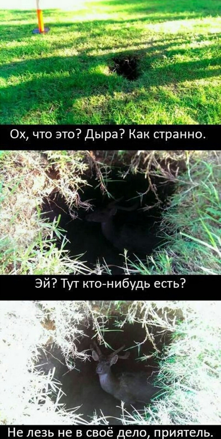 Не ЛЕЗЬ не В СВОё дело приятель