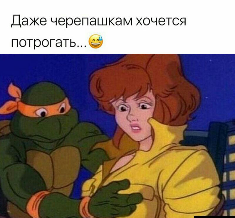 Даже черепашкам ХОЧЕТСЯ потрогать