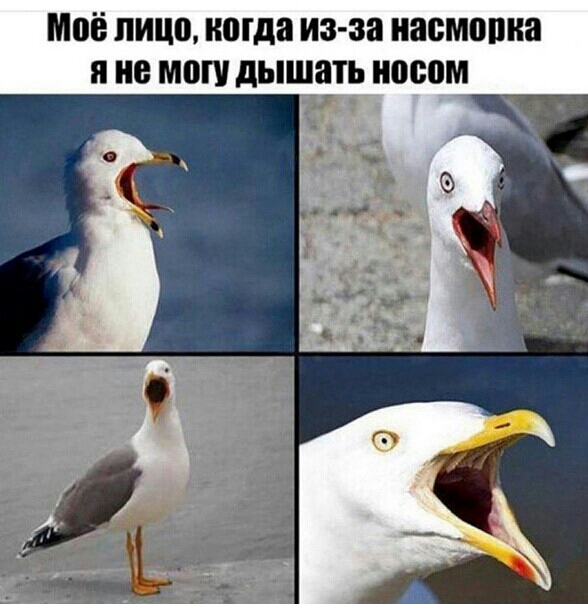 Моё лицо когда из за наемника н не мои дышатьиосом