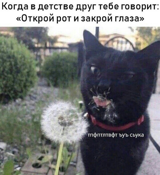 Когда в детстве друг тебе говорит Открой рот и закрой глаза и в т ЧЬ тпфптптвфт ьуъ сьука 1 7 1