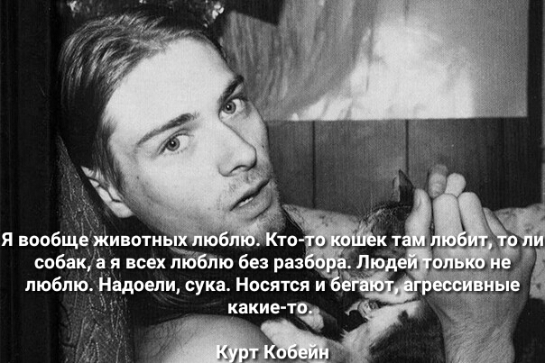 люблю адоели сука носятся и какие ТВ