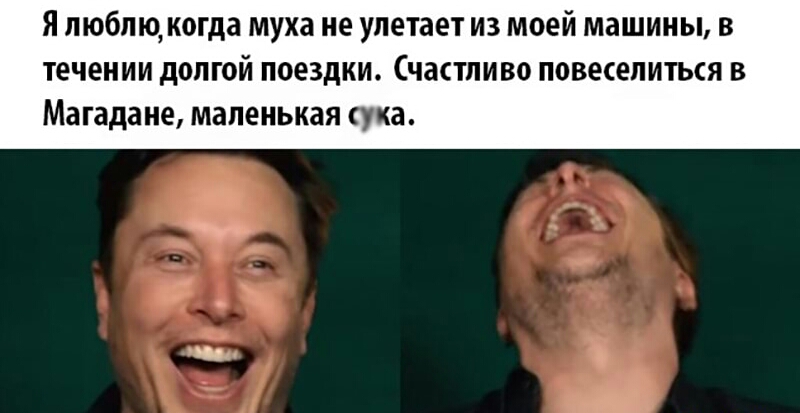 Я люблюкогда муха не улетает из моей машины в течении долгой поездки Счастливо повеселиться в Магадане маленькая сука