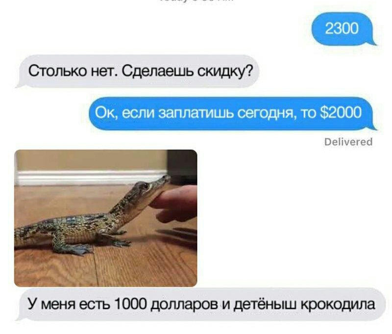 Столько нет Сделаешь скидку Ок если ззппгптишь сегодня то 2000 Веіічегеа У меня есть 1000 долларов и детёныш крокодила