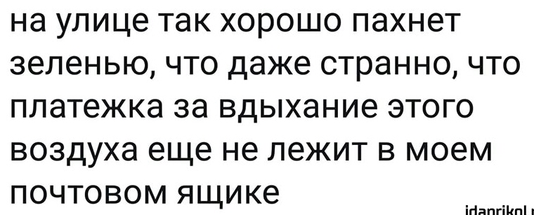 на улице так хорошо пахнет зеленью что даже странно что платежка за вдыхание этого воздуха еще не лежит в моем почтовом ящике ігіяпгіипі