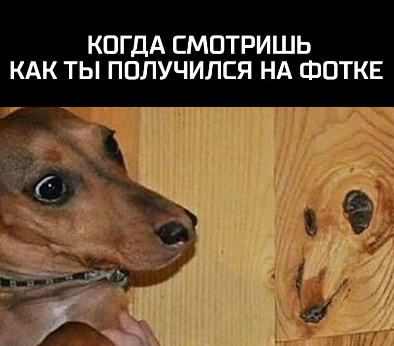 КОГДА СМОТРИШЬ КАК ТЫ ПОЛУЧИЛСЯ НА ФОТКЕ
