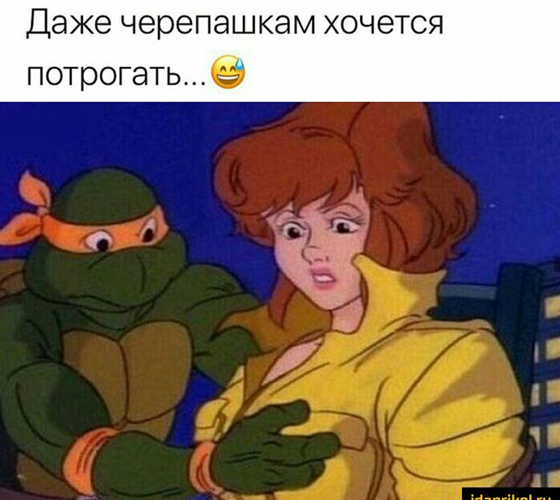 Даже черепашкам хочется потрогать