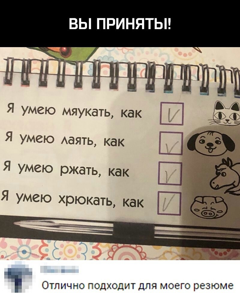 ВЫ ПРИНЯТЫ Я Умею мяукать как Я Умею Ааять как Ш Я умею ржать как Я Умею хрюкать как ОТЛИЧНО ПОДХОДИТ ДЛЯ МОЗГО резюме