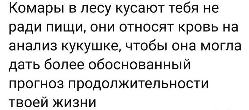 Комары в лесу кусают тебя не ради пищи они относят кровь на анализ кукушке чтобы она могла дать более обоснованный прогноз продолжительности твоей жизни