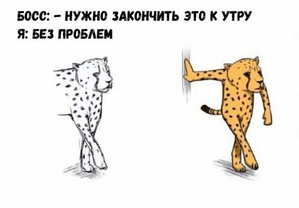 Босс НУЖНО ЗАК0НЧИТЬ это к УТРУ Я БЕЗ ПР0БАЕИ