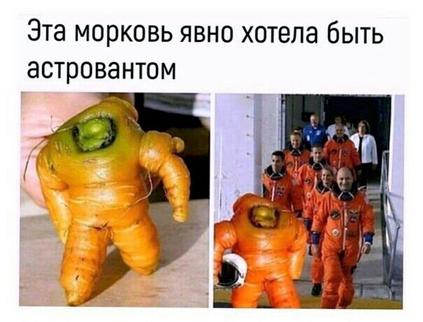 Эта морковь явно хотела быть астровантом