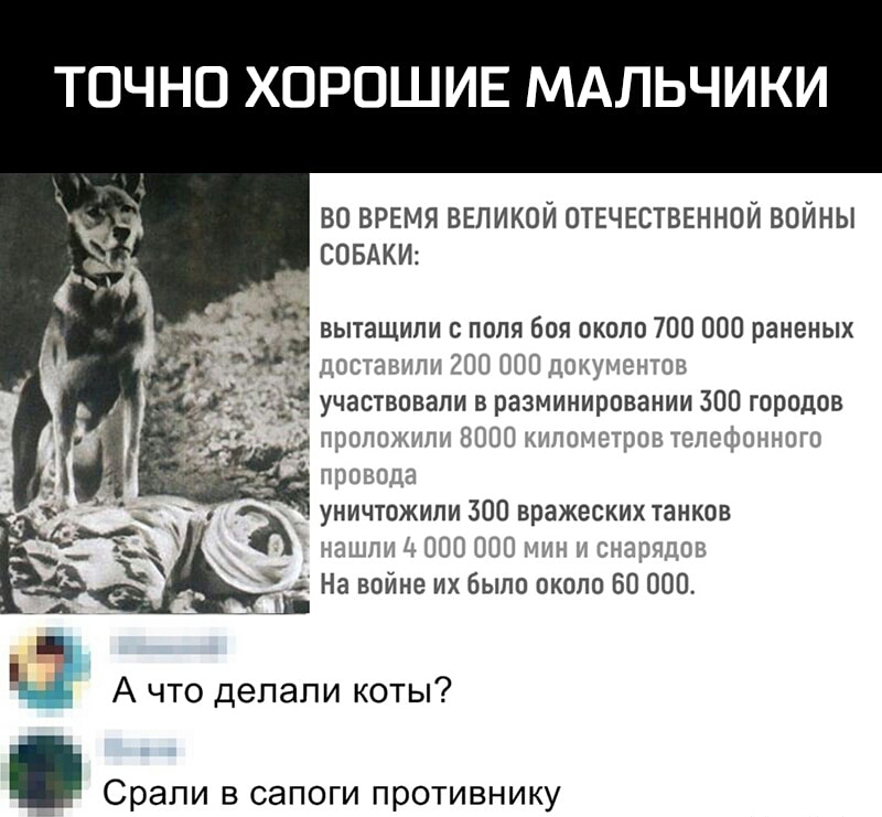 ТОЧНО ХОРОШИЕ МАЛЬЧИКИ во время великой отечгстввннои войны СОБАКИ И вытащили с поля боя около 700 ППП раненых поставила 200 ООО доку ов ПП С уничтожили 300 вражеских танков пашни А 0 000 тн и снарядов 52 А что делали коты Срапи В СЭПОГИ ПРОТИВНИКУ