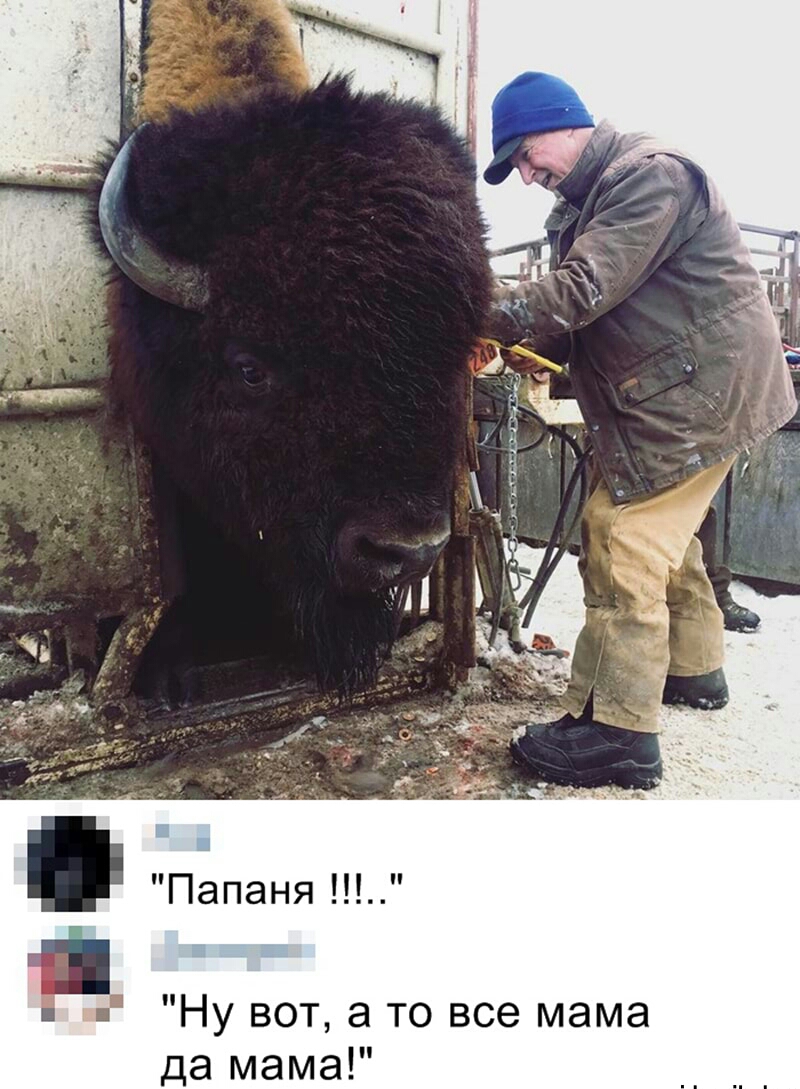 Папаня г