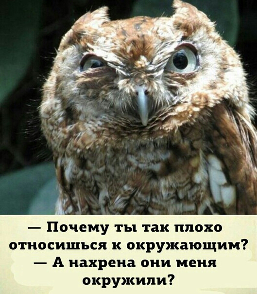 Почему ты так плохо относишься к окружающим А нахрена они меня окружили