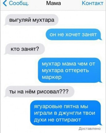 Сообщ Мама выгуляй мухтара кто занят КонтакТ щ