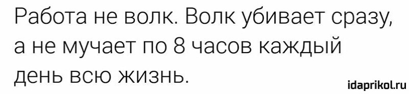 Работа не волк Волк убивает сразу а не мучает по 8 часов каждый день всю жизнь ійаргіКпіш