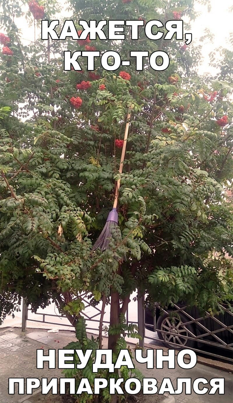 пвипдрковАЁЬЁЯ
