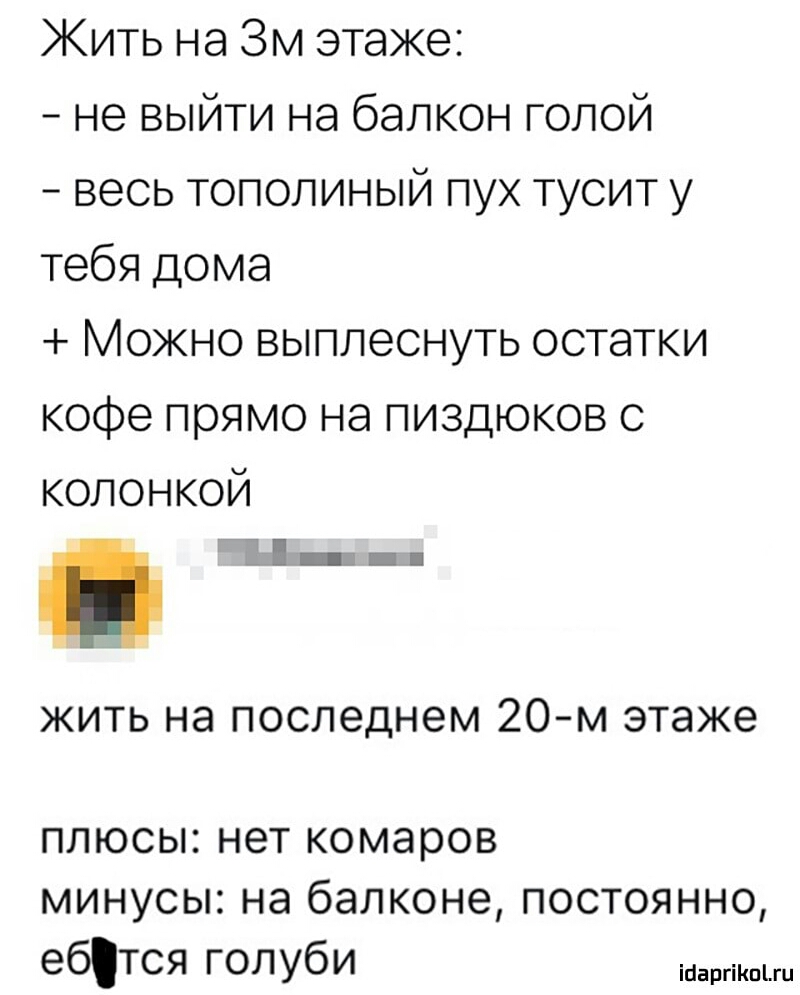 Жить на ЗМ этаже не выйти на балкон голой весь тополиный пух туоит у тебя дома Можно выплеснуть остатки кофе прямо на пиздюков с колонкой ЙЁт п жить на последнем 20 м этаже ПЛЮСЫ нет комаров МИНУСЫ на балконе ПОСТОЯННО ебітся голуби а