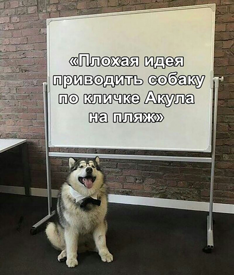 одни Ш Атта