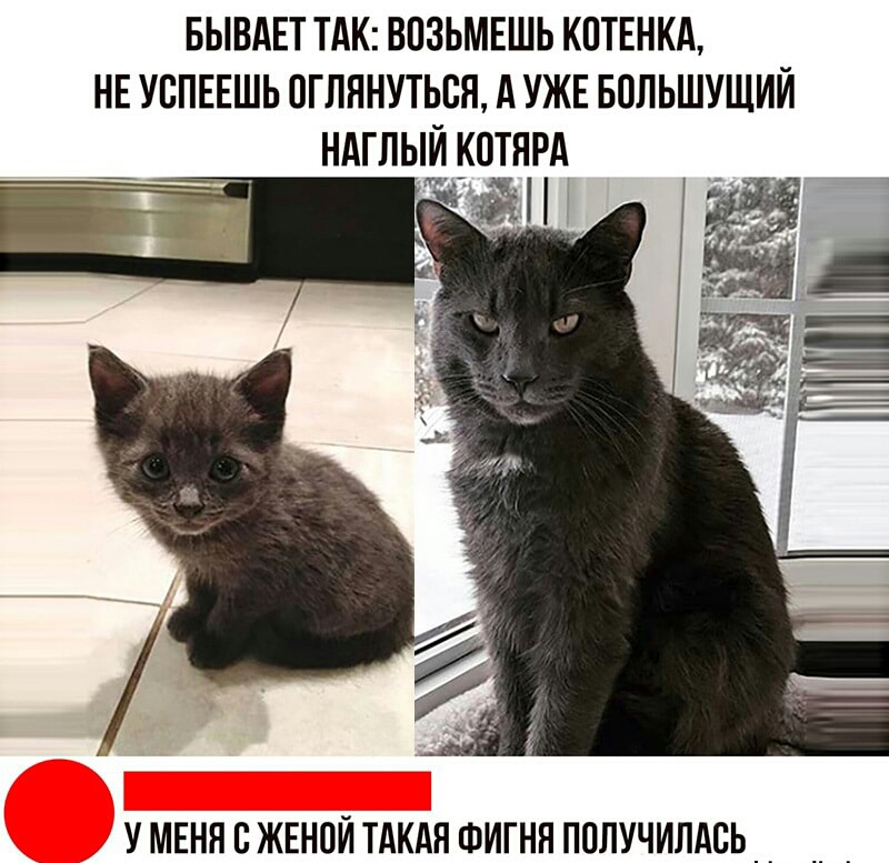 БЫВАЕТ ТАК ВПЗЬМЕШЬ КПТЕНКА НЕ УВПЕЕШЬ 0ГЛННУТЬВЯ А УЖЕ БПЛЬШУЩИЙ НАГПЫЙ КОТЯРА ж уменясжшойтдкдяфигняполучилдсь __ _