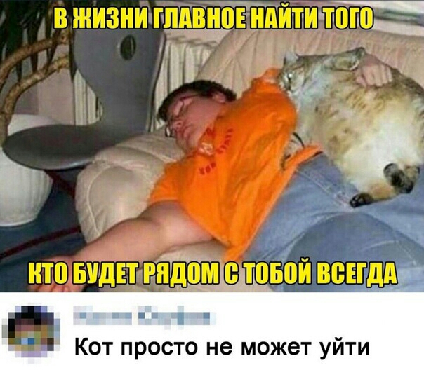 Кот просто не может уйти
