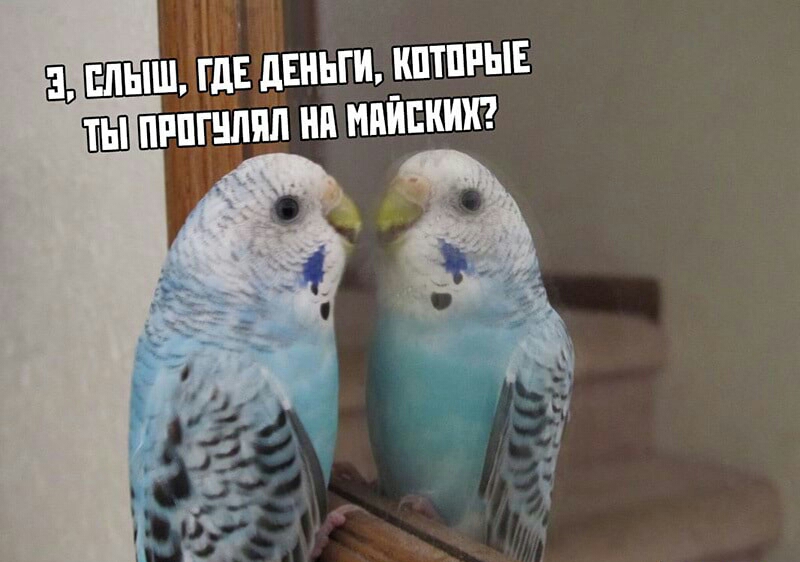 аъ впышігд Ённьги кптппын ПШ пинг ип ни майских