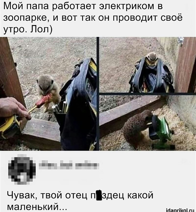Мой папа работает электриком в зоопарке и вот так он проводит своё утро Пол Б П __ 1 Чувак твой отец пздец какой маленький ігінпгіипі