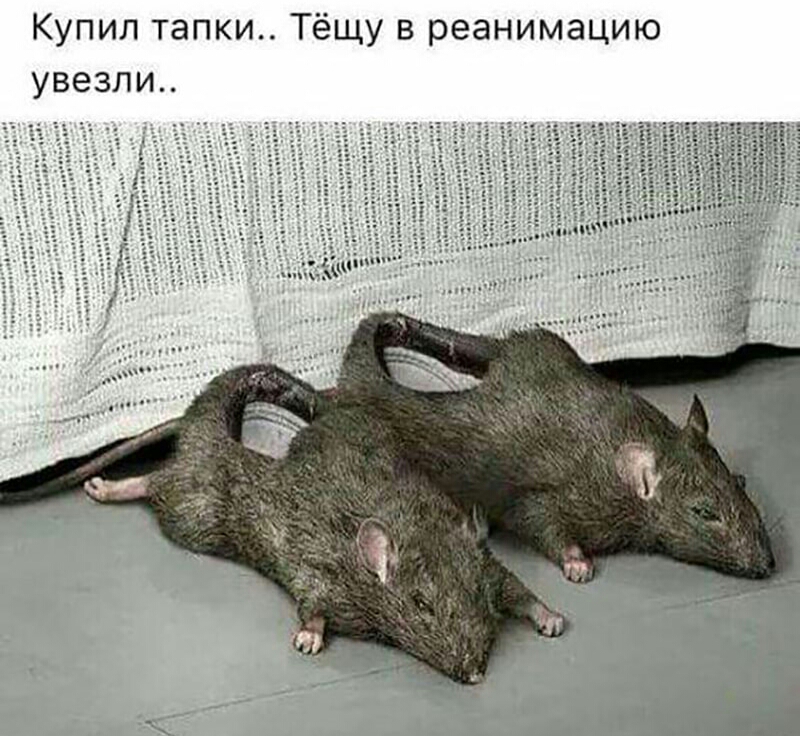 Купил тапки Тёщу в реанимацию увезли