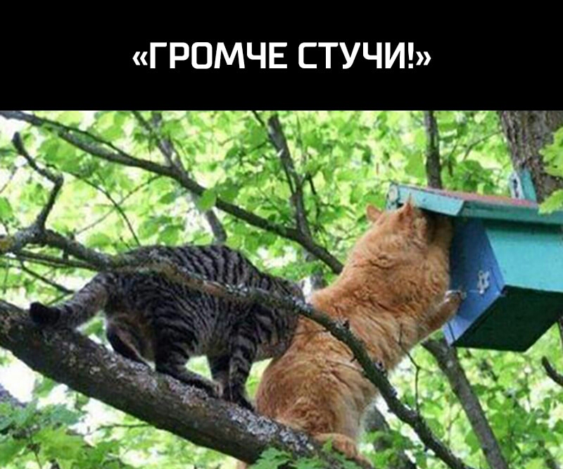 ГРОМЧЕ СТУЧИ
